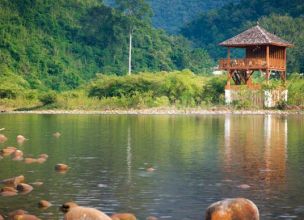 Upstream Mekong to Laos 10 Days